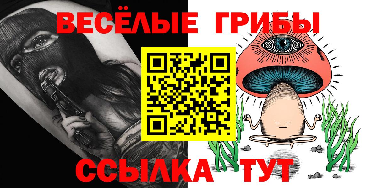 Галлюциногенные грибы Cubensis  Псилоцибиновые грибы Cubensis  Вход с VPN  Ейск 